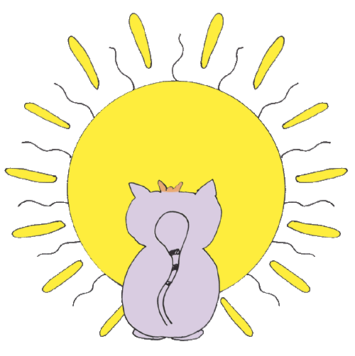 suncarenje solarna joga